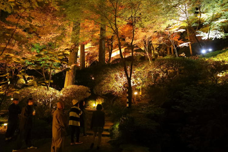 大興善寺の紅葉ライトアップ2017